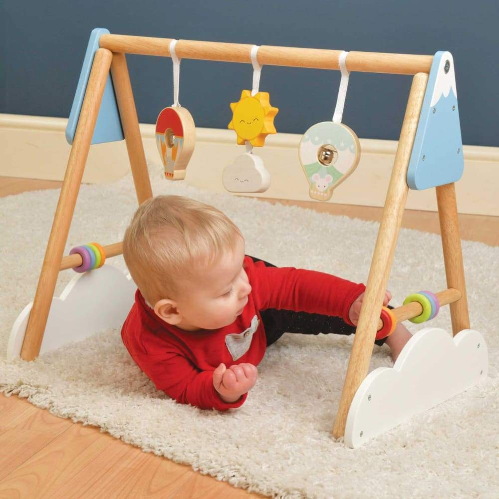 Baby Gym (2)