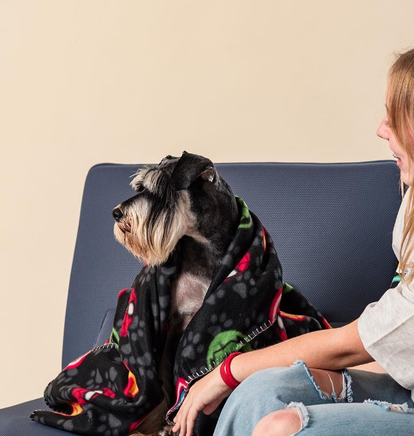 مارفل لحاف للكلاب