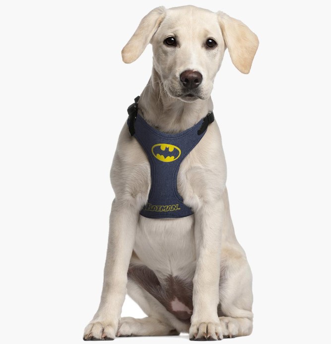 2800000243 DOG HARNESS XXS/XS BATMAN