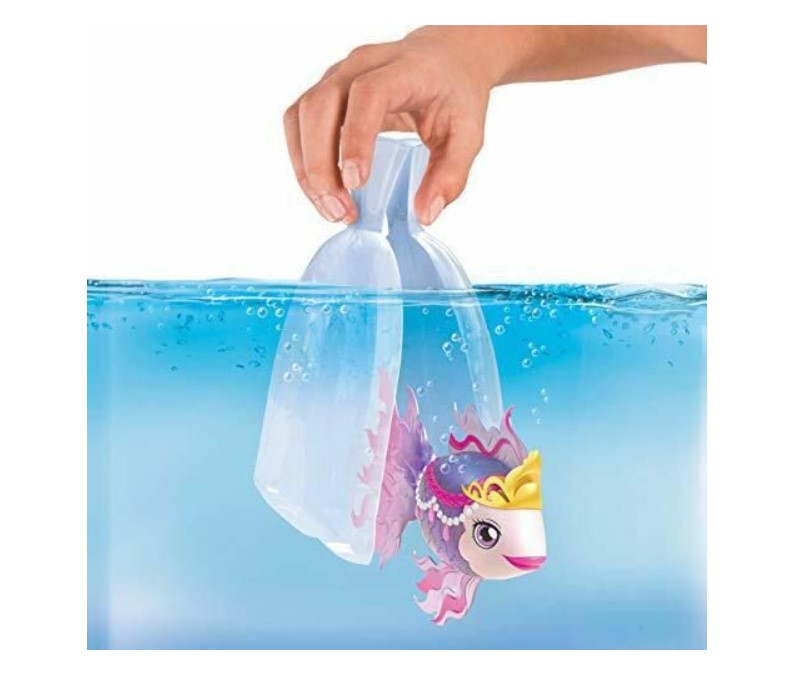 اسماك ليتل لايف-سيكوين