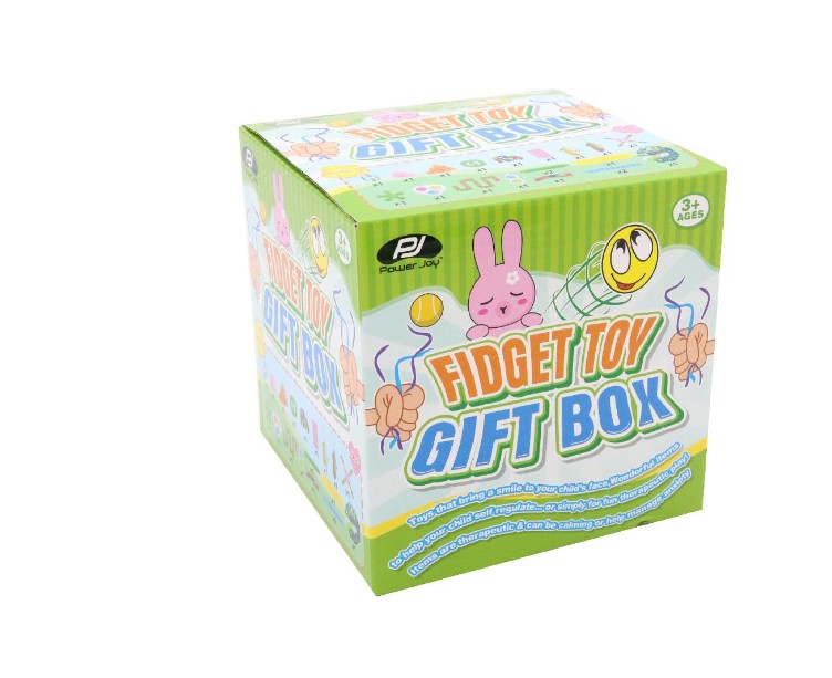 20 in 1 Fidget Sensory Toy