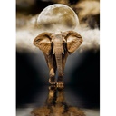 Clementoni puzzle 1000 pieces - elephant