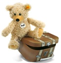 charly dangling teddy bear in suitcase