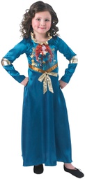 Fancy dress - from the Disney Princess Merida story time movies