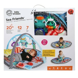 [11744] Baby Einstein educational rug for children