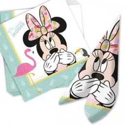 [089232] Minnie Mouse parties